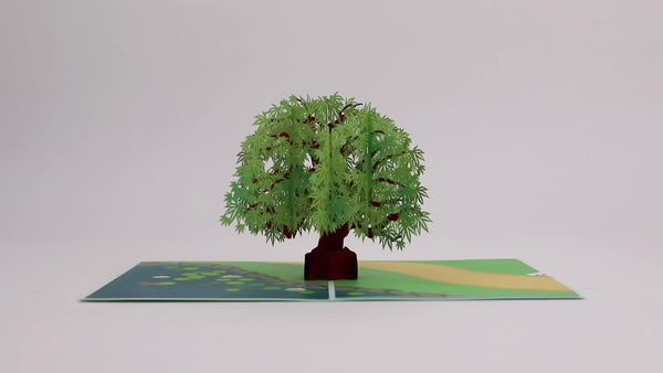 I Love Pop Green Maple Tree Pop-Up Card