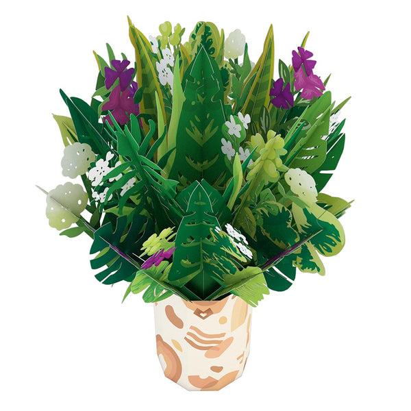 I Love Pop Greenhouse Plant Bundle