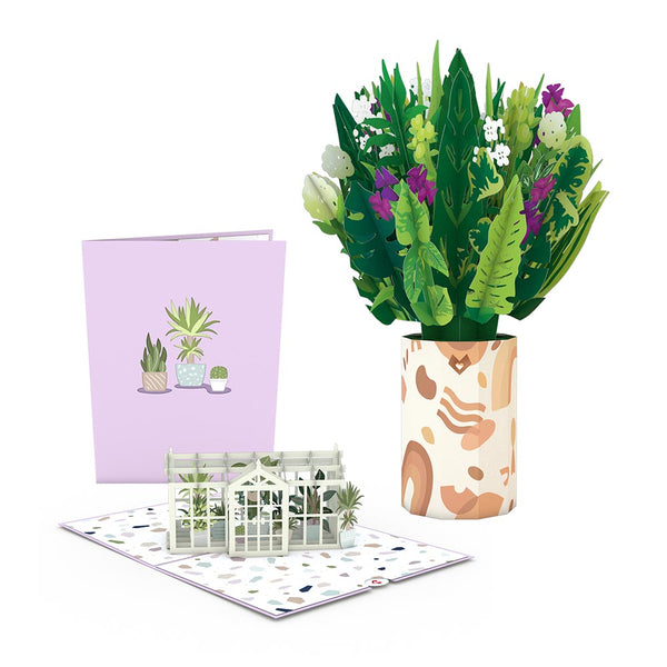 i love pop Greenhouse Plant Bundle