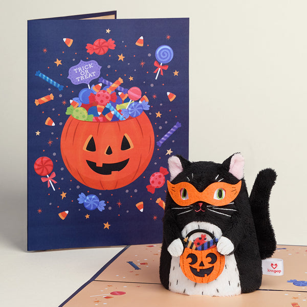 i love pop Halloween Cat Plushpop Card
