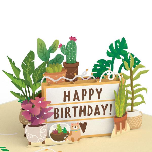 I Love Pop Happy Birthday Plants Pop-Up Card