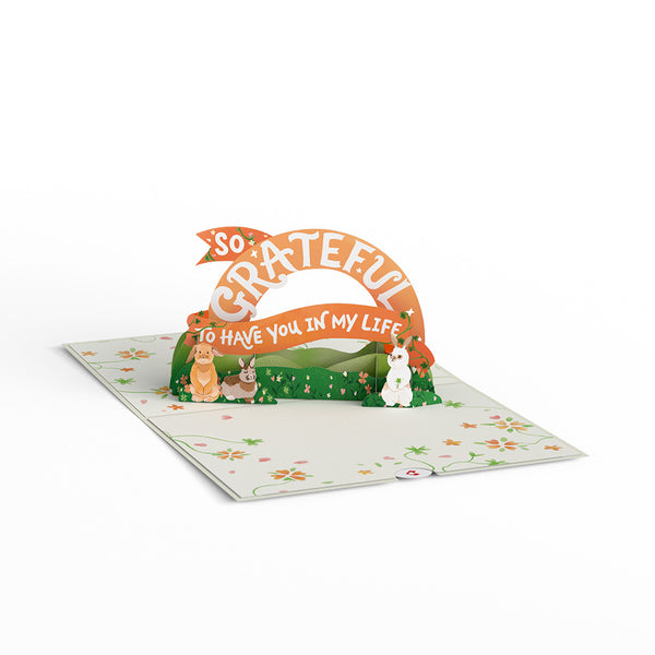 I Love Pop How Lucky I Am Pop-Up Card