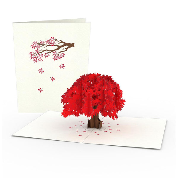 I Love Pop Japanese Maple Notecards (4-Pack)
