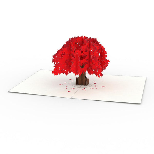 I Love Pop Japanese Maple Notecards (4-Pack)