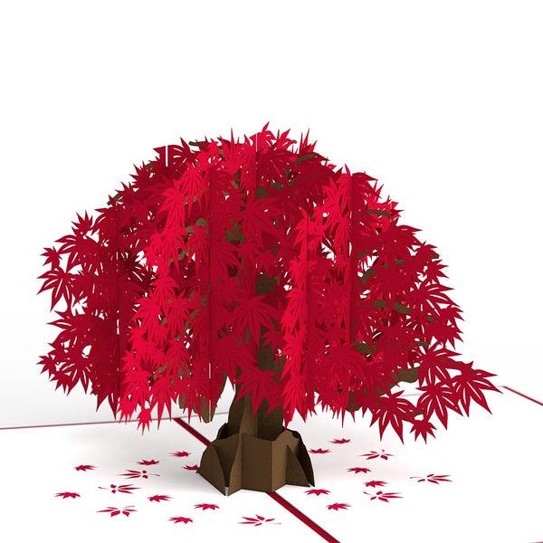 I Love Pop Japanese Maple Pop-Up Card