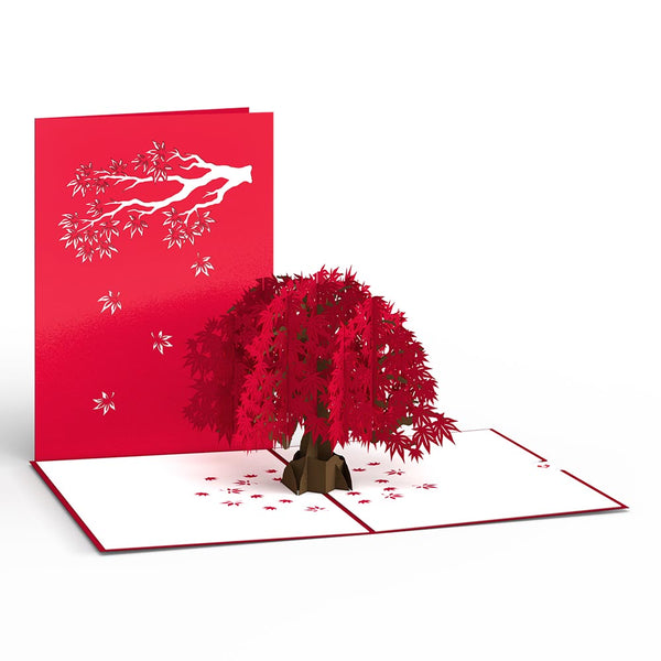 i love pop Japanese Maple Pop-Up Card