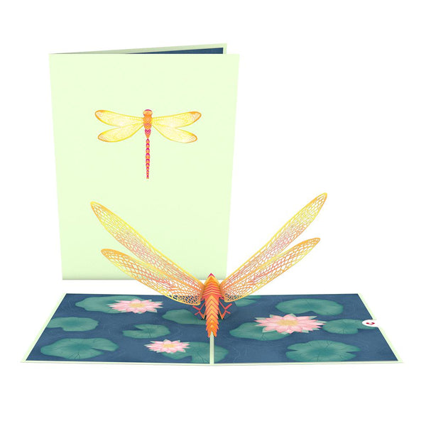 I Love Pop Lotus & Dragonfly Bundle