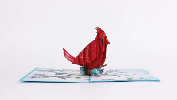 I Love Pop Love Cardinal Pop-Up Card