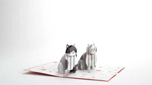 I Love Pop Love Cats Pop-Up Card