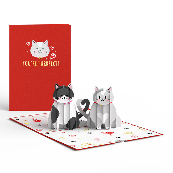 i love pop Love Cats Pop-Up Card