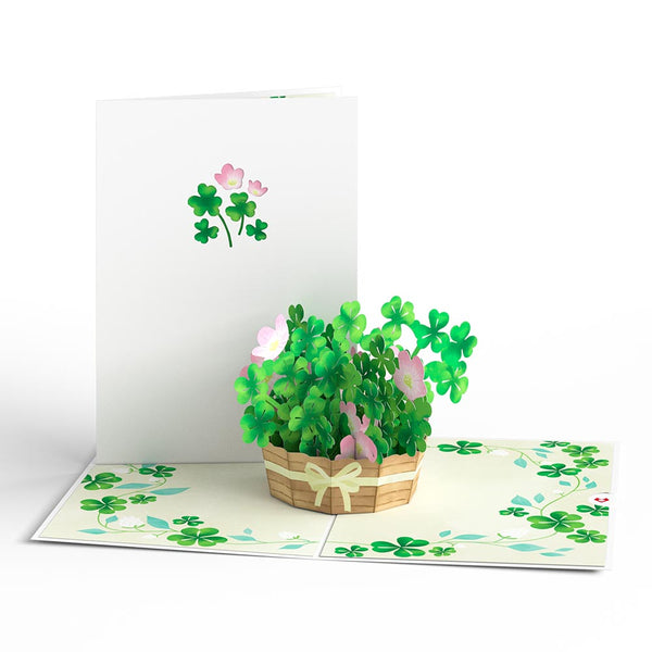 I Love Pop Lucky Shamrock 3-Pack