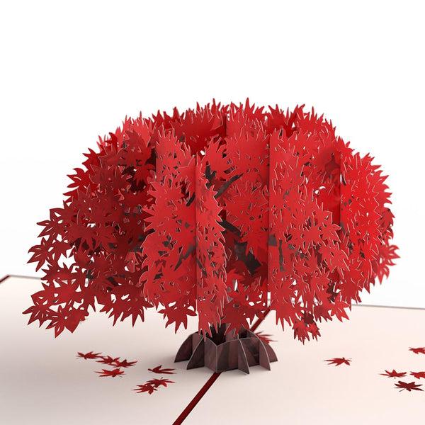 I Love Pop Majestic Japanese Maple Pop-Up Card