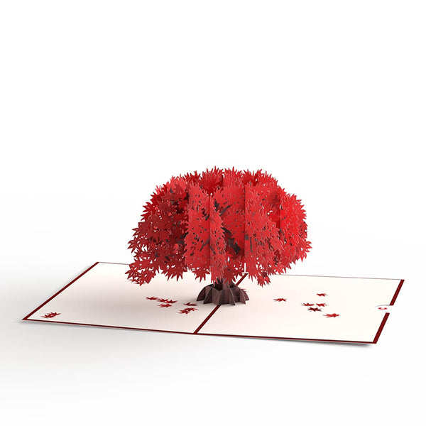 I Love Pop Majestic Japanese Maple Pop-Up Card