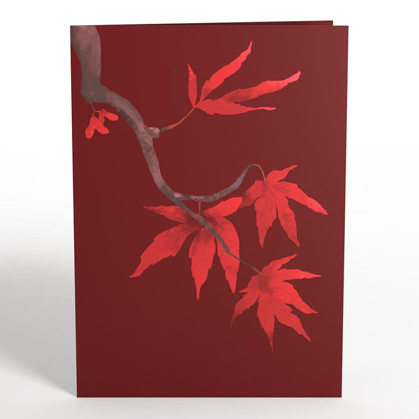 I Love Pop Majestic Japanese Maple Pop-Up Card