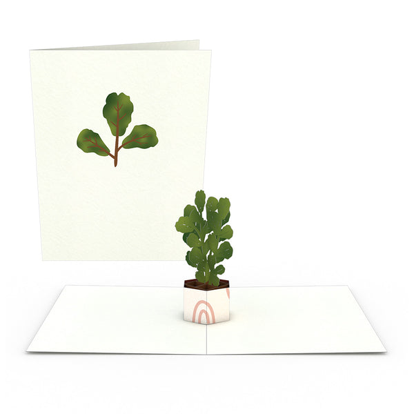 I Love Pop Plants Notecards (Assorted 4-Pack)