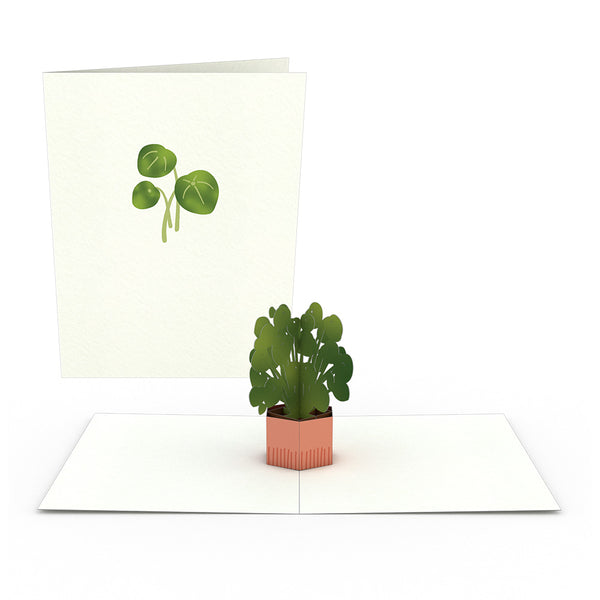 I Love Pop Plants Notecards (Assorted 4-Pack)