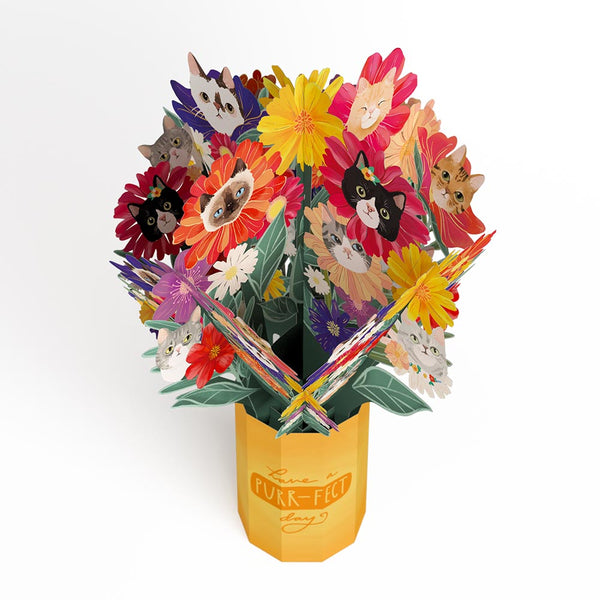 I Love Pop Purr-fect Cat Bouquet