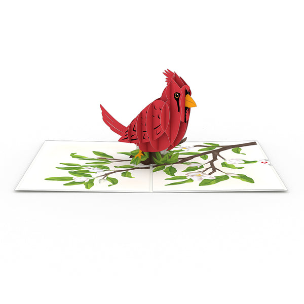 I Love Pop Radiant Cardinal Pop-Up Card