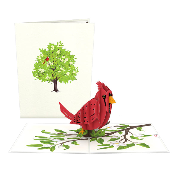 i love pop Radiant Cardinal Pop-Up Card