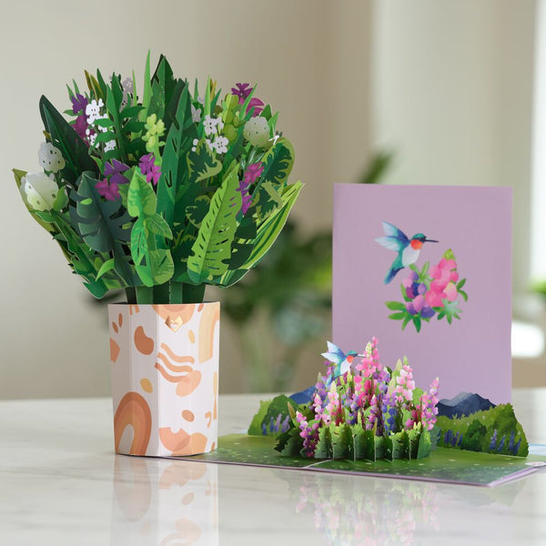 i love pop Spring Plant Bundle