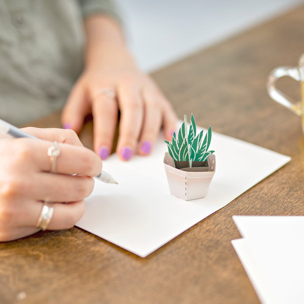 I Love Pop Succulent Notecards (Assorted 4-Pack)