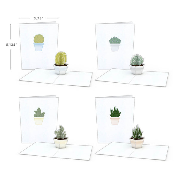i love pop Succulent Notecards (Assorted 4-Pack)