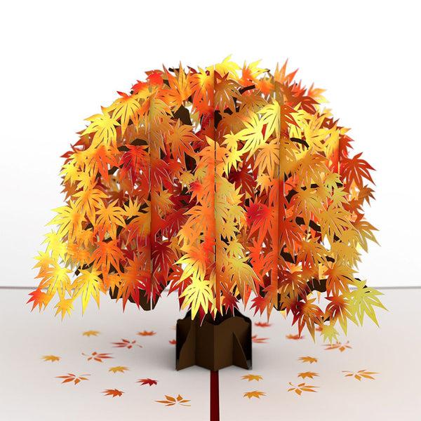 I Love Pop Sugar Maple Tree Pop-Up Card