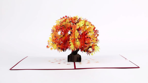 I Love Pop Sugar Maple Tree Pop-Up Card