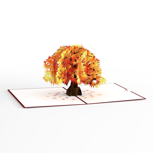 I Love Pop Sugar Maple Tree Pop-Up Card