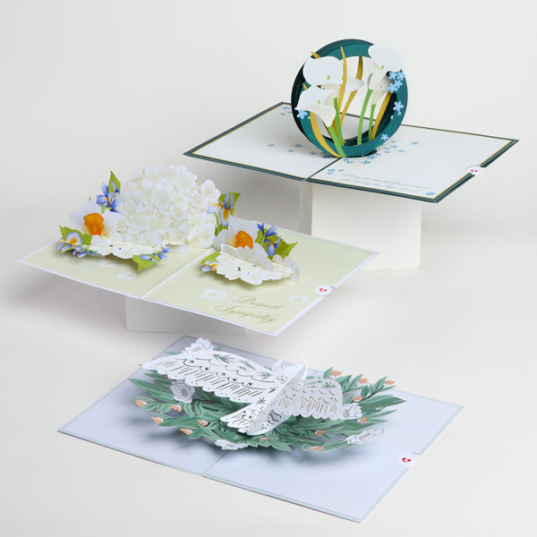 i love pop Sympathy 3-Pack