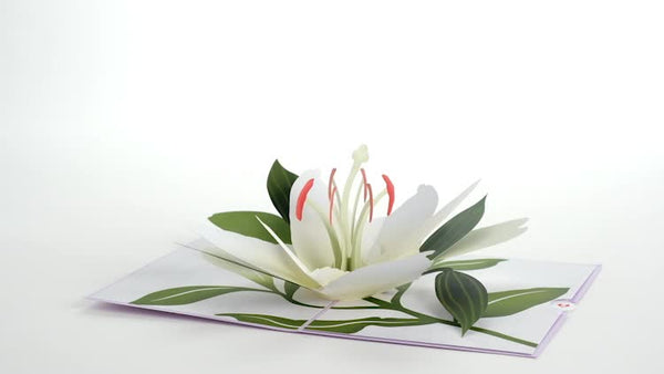 I Love Pop Sympathy Lily Pop-Up Card