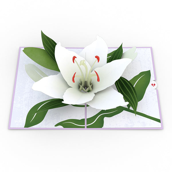I Love Pop Sympathy Lily Pop-Up Card