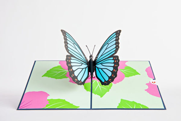 I Love Pop Tulip & Blue Morpho Butterfly Bundle