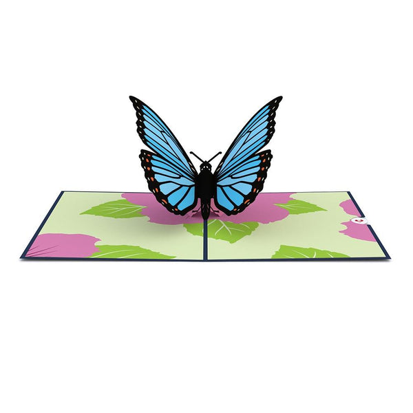 I Love Pop Tulip & Blue Morpho Butterfly Bundle