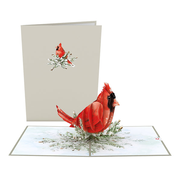 i love pop Winter Cardinal Pop-Up Card