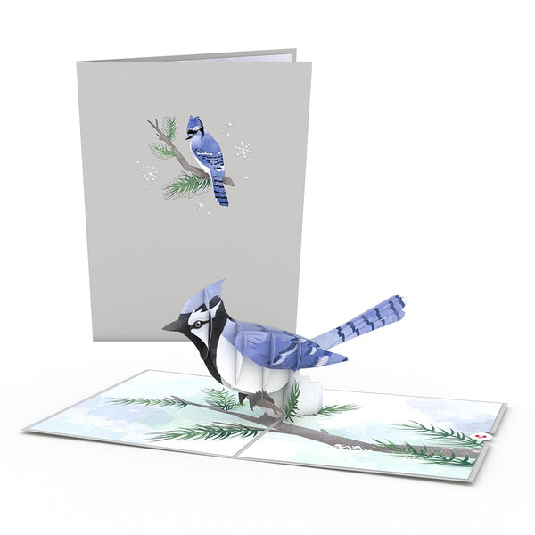 I Love Pop Winter Wishes Blue Jay Bundle