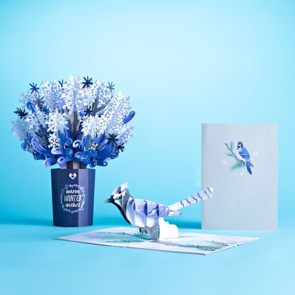 i love pop Winter Wishes Blue Jay Bundle