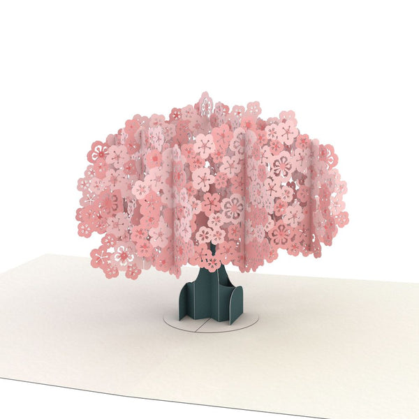 I Love Pop Thank You Garden Notecards (Assorted 4-Pack)