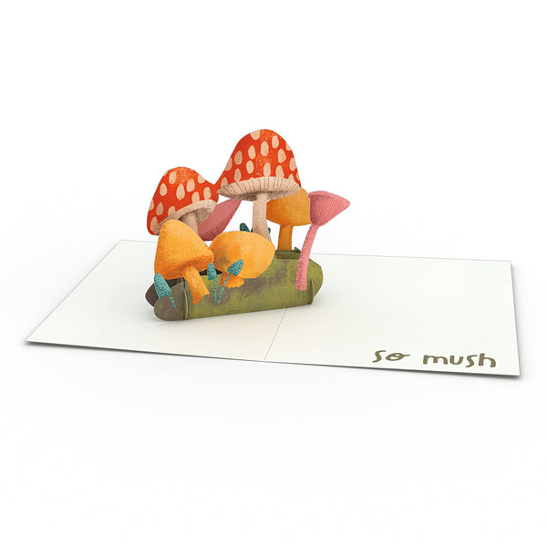 I Love Pop Thank You Whimsical Notecards (Assorted 4-Pack)