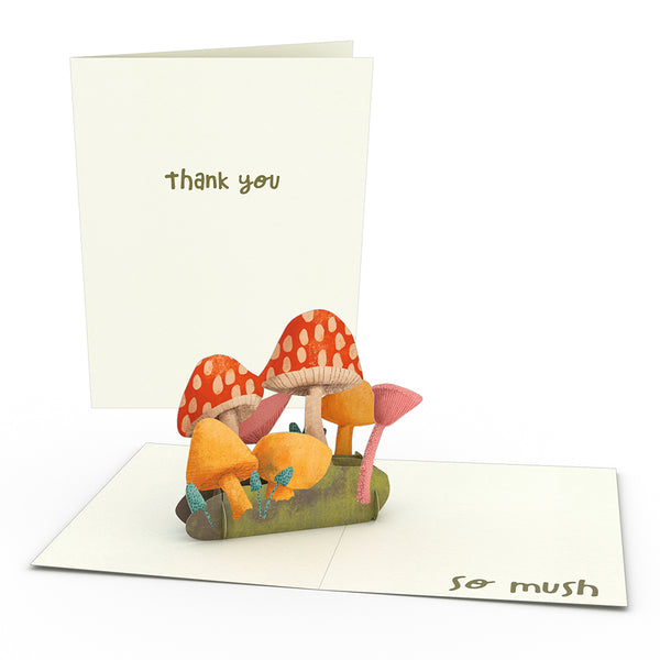 I Love Pop Thank You Whimsical Notecards (Assorted 4-Pack)