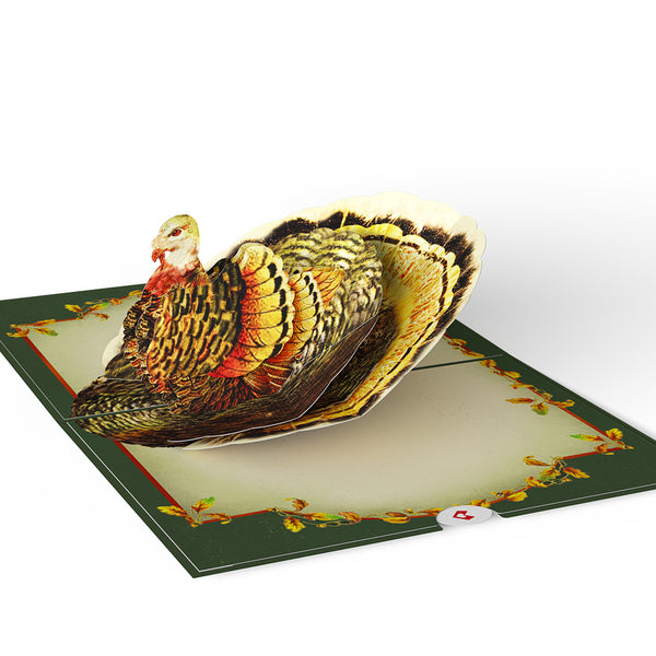 I Love Pop Thanksgiving Greetings Vintage Turkey Pop-Up Card