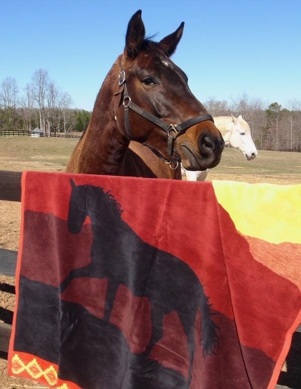 ibena Cotton Blend Horse Inspired Sunset Colored Throw Blanket