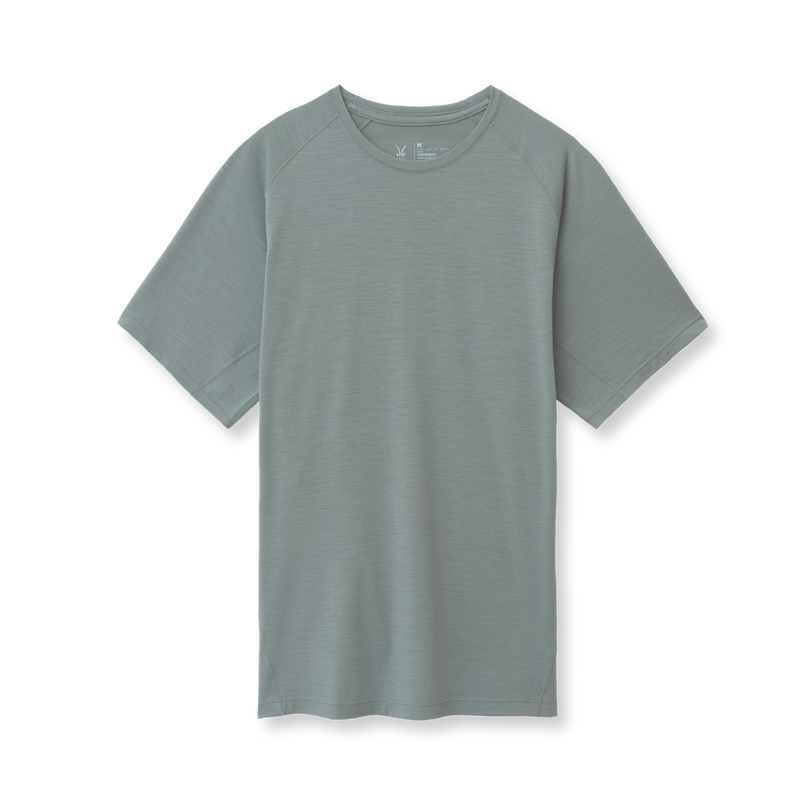 ibex Men's Springbok Sport Tee Dark Forest Heather