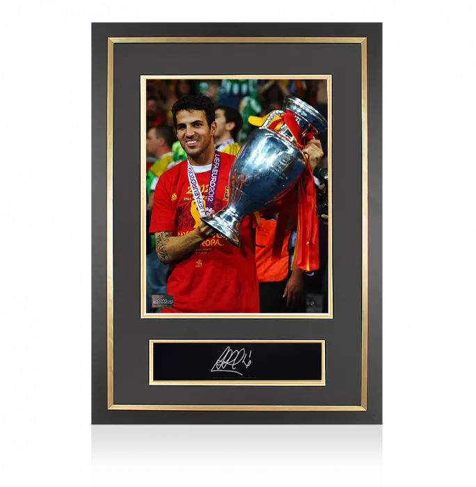 icons Cesc Fabregas Signed Plaque and Photo Frame: UEFA EURO 2012 Winner