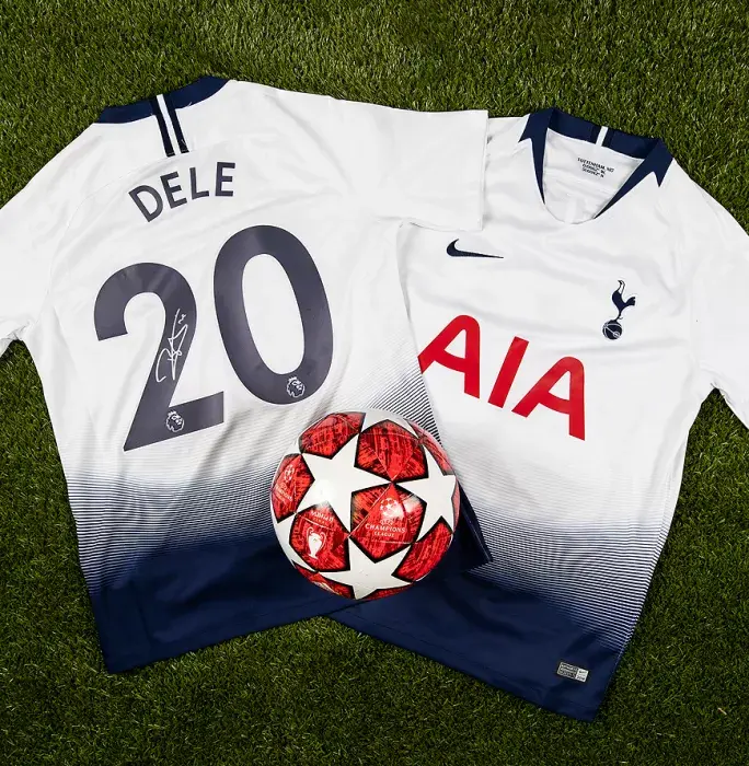 Icons Dele Alli Back Signed Tottenham Hotspur 2018-19 Home Shirt: Premier League Edition