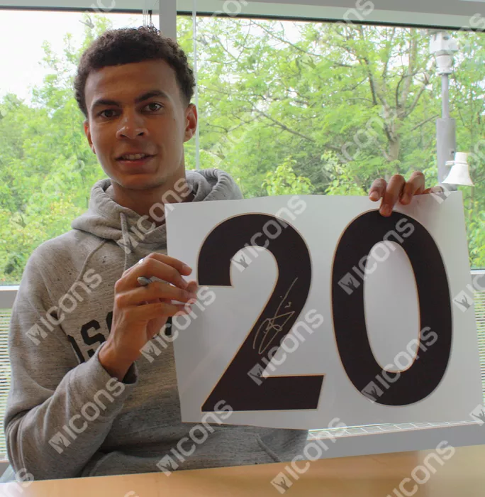 Icons Dele Alli Back Signed Tottenham Hotspur 2018-19 Home Shirt With Fan Style Numbers