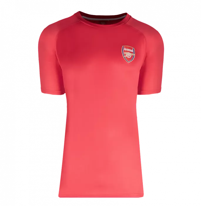 Icons Dennis Bergkamp Back Signed Arsenal T-Shirt With Fan Style Numbers In Hero Frame: Option 1
