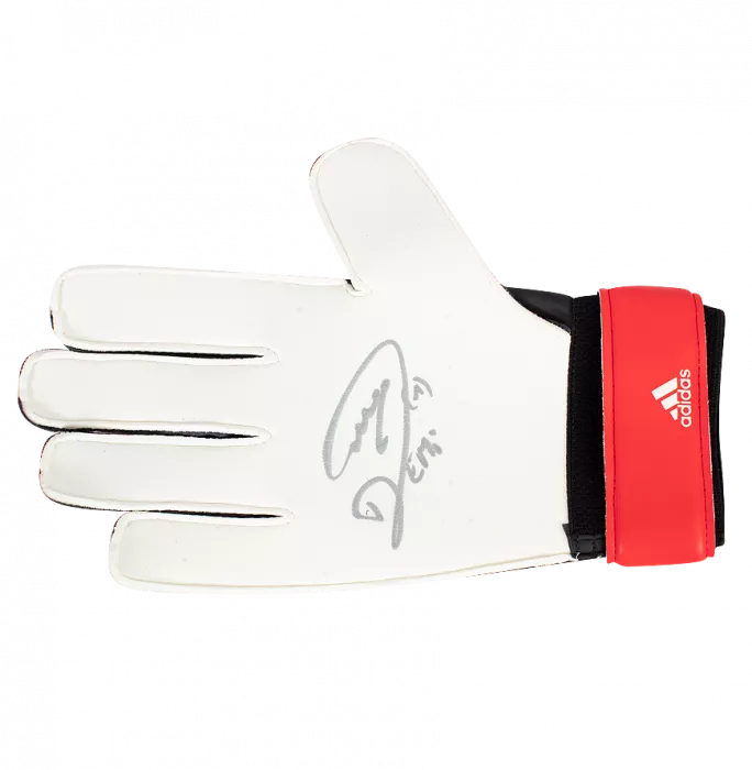icons Emiliano Martinez Signed Adidas Glove Signed In Silver