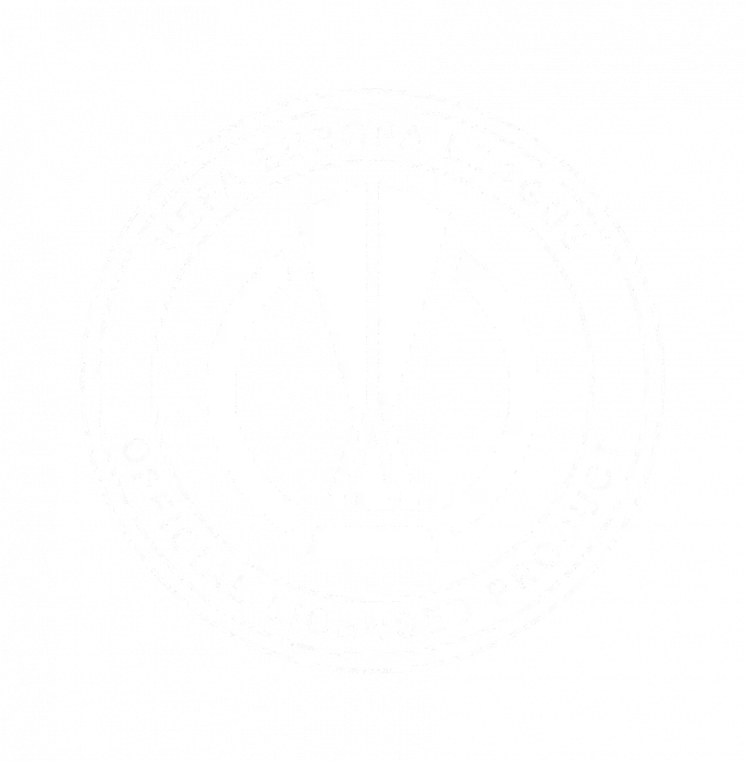 Icons Erling Haaland Official UEFA Europa League Signed Orange Nike Mercurial Boot In Acrylic Case