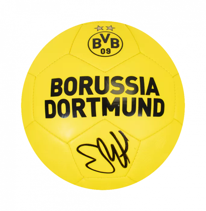 Icons Erling Haaland Signed Borussia Dortmund Branded Football In Acrylic Case